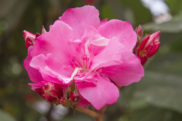 Similar image 5583345