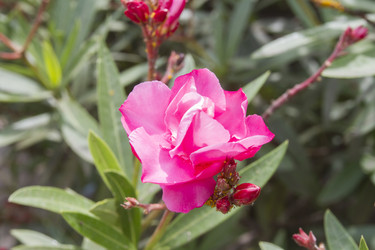 Similar image 5583347