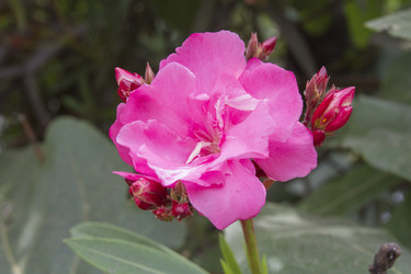 Similar image 5583350