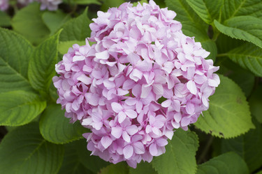 Similar image 5583351