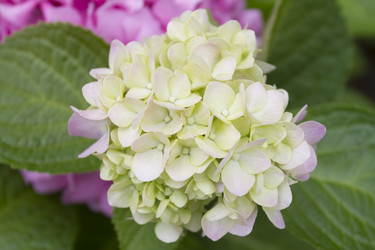 Similar image 5583353