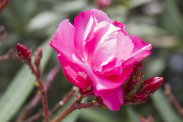 Similar image 5583356