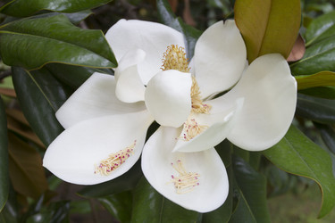 Similar image 5583362