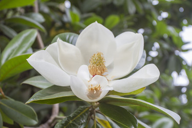 Similar image 5583363