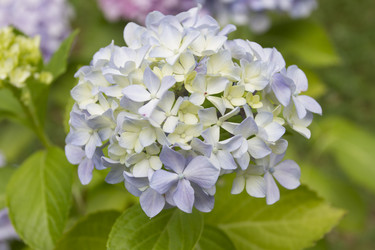 Similar image 5583365