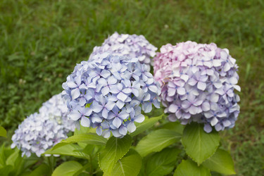 Similar image 5583366