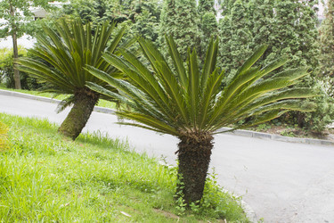 Similar image 5583367