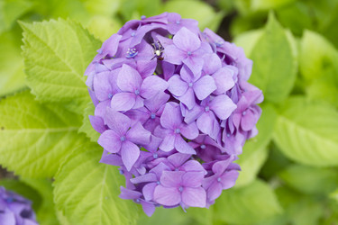 Similar image 5583379