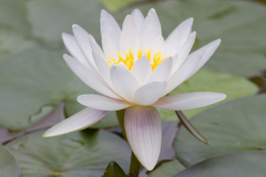 Similar image 5583383