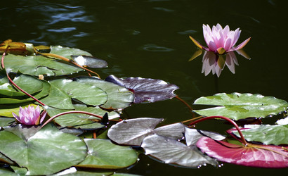 Similar image 5583526