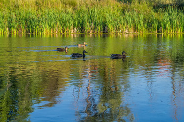 Similar image 5583544