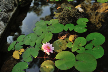 Similar image 5583653