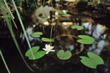 Similar image 5583654