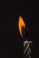 Similar image 5583663