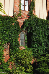 Similar image 5583680