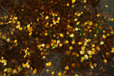 Similar image 5583689