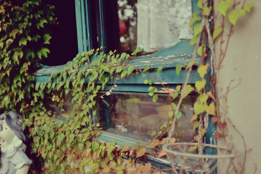 Similar image 5583695