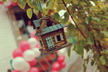 Similar image 5583698