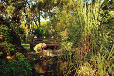 Similar image 5583699