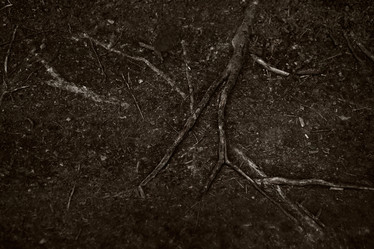 Similar image 5583707