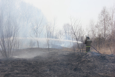 Similar image 5583878