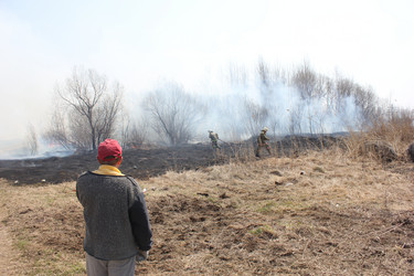 Similar image 5583879