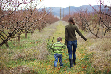 Similar image 5584040