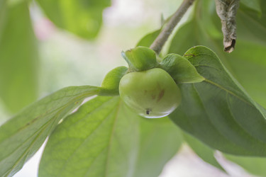 Similar image 5584055