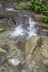 Similar image 5584059