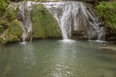 Similar image 5584080