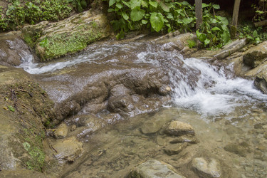 Similar image 5584081