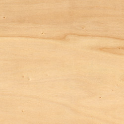 Similar image 5584323