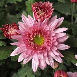 Similar image 5584328