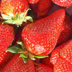 Similar image 5584343