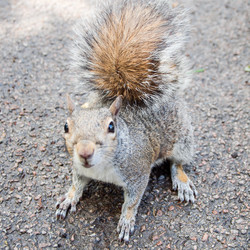 Similar image 5584359