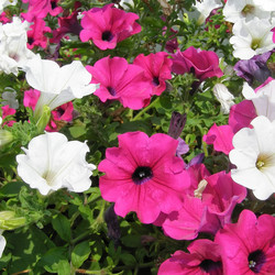 Similar image 5584381