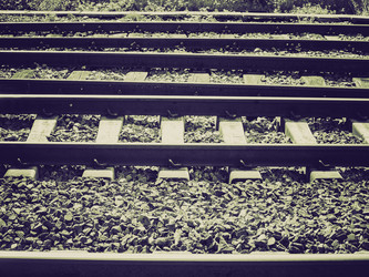 Similar image 5584391