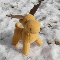 Similar image 5584408