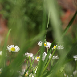 Similar image 5584414