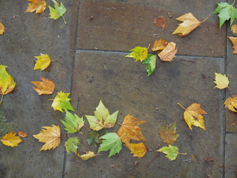 Similar image 5584460