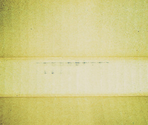 Similar image 5584464