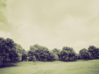 Similar image 5584490