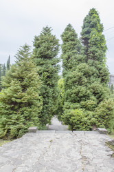 Similar image 5584557