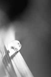 Similar image 5584570