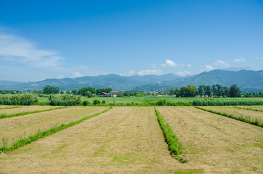 Similar image 5584653