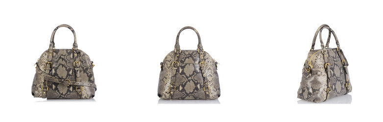 Similar image 5584704