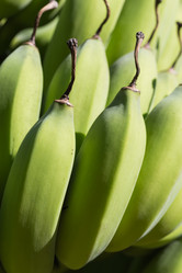 Similar image 5584782