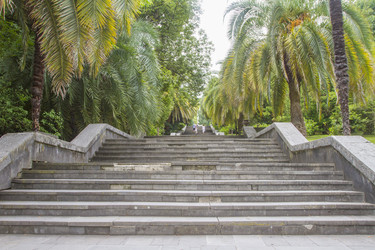 Similar image 5584792