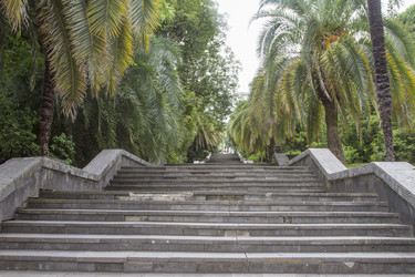 Similar image 5584802