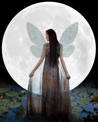 Similar image 5584817